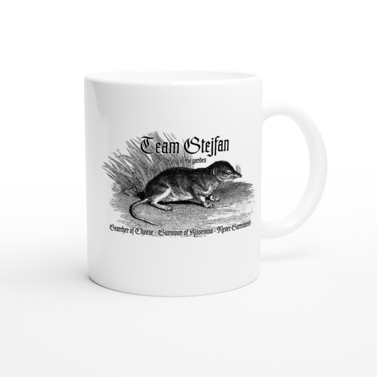 Team Stejfan - Mugg