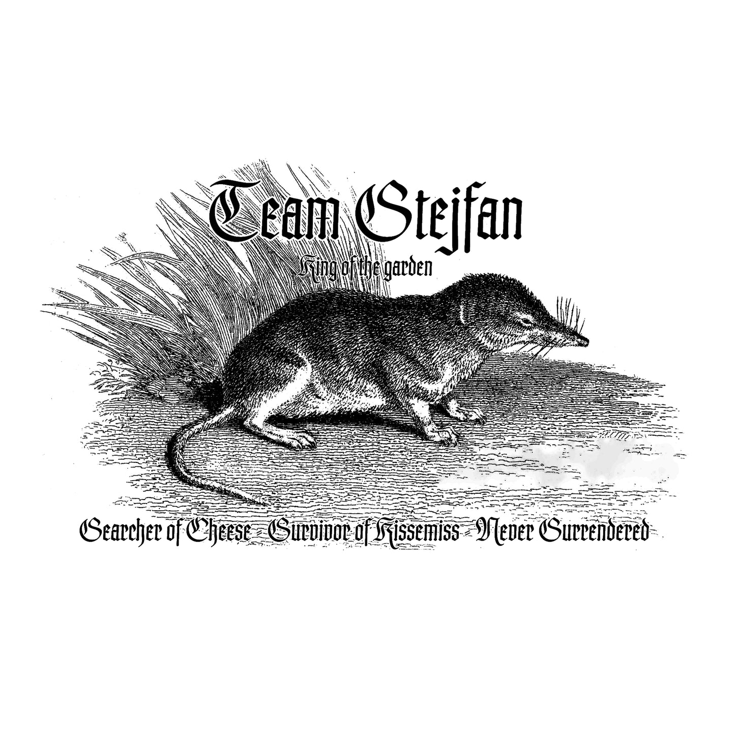 Team Stejfan - T-Shirt
